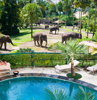 Elephant Safari Park & Luxury Lodge